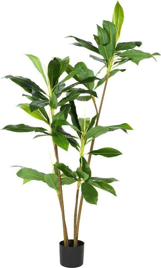 Künstlicher Baum für den Außenbereich Dracaena Δράκαινα Schwarz 175cm Next