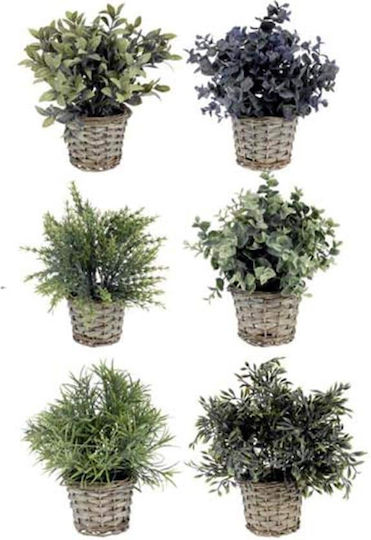 Plantă Artificială în Ghiveci Mic 28cm (Diverse modele) Next