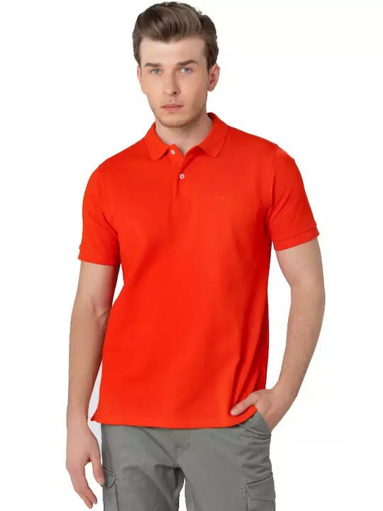 The Bostonians Herren Shirt Polo B144or