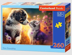 Puzzle pentru Copii Castorland