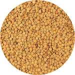 Lentils 500gr