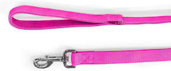 Glee Dog Leash/Lead Strap in Pink color