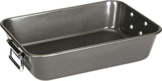 Alpina Appliances Backform Torte 30x22cm 1cm