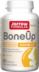 Jarrow Formulas BoneUp Supliment pentru Sănătatea Oaselor 240 capace