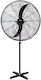 Hobby Pedestal Fan 210W Diameter 65cm