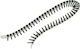 DEWALT Screw with Diameter M3.5 and Length 55mm 1000pcs