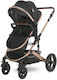 Lorelli Boston Adjustable 2 in 1 Baby Stroller ...