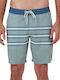 Boardshort Men's Swimwear Shorts Dusty Striped