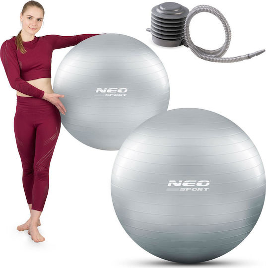 NEO Sport Mingii Pilates 75cm în culoare Argintiu