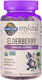 Garden Of Life Elderberry 120 желирани бонбони