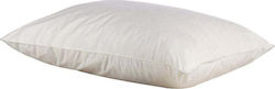 Comco Sleep Pillow Latex 50x70cm