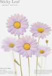 Appree Sticky Notes Violet Daisy L