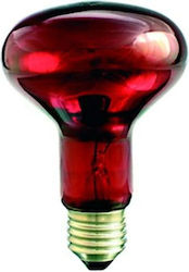 Helios Halogen Lamp 80mm for E27 Socket