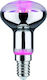 Paulmann Grow Light με LED και Ισχύ 6.5W