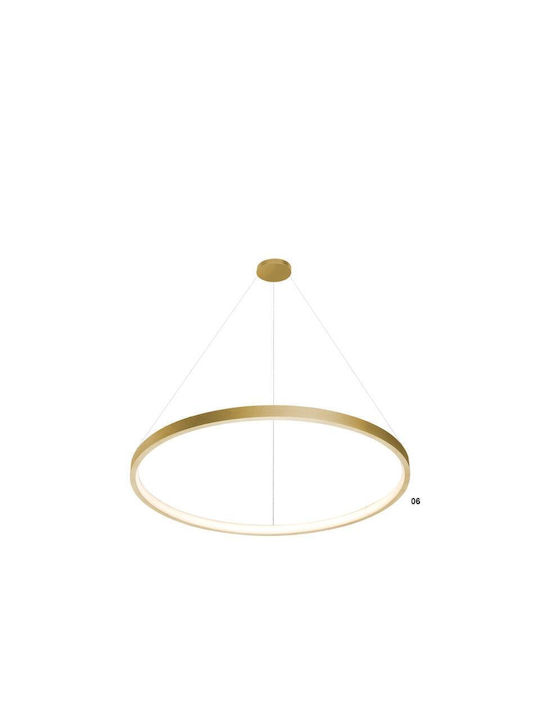 Luma Pendant Light LED with Warm White Light Gold