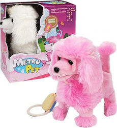 Trifox Poodle Dog Walking On Leash Mix Trifox Poodle Dog Walking On Leash Mix