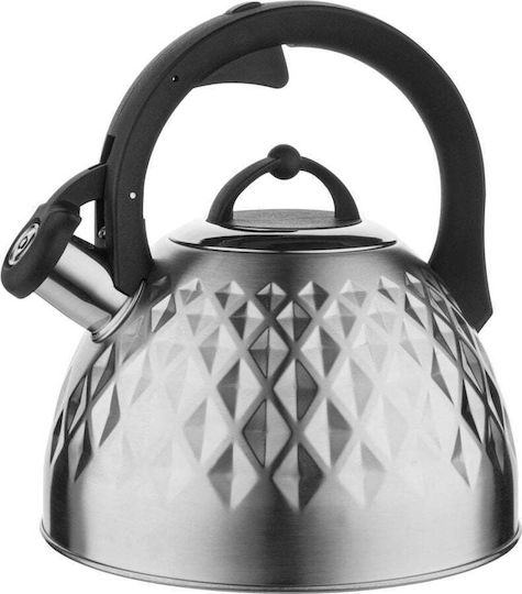 Florina Ceainic Inox 2500ml
