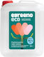 Pur Profesional Lichid de Vase 1x5l