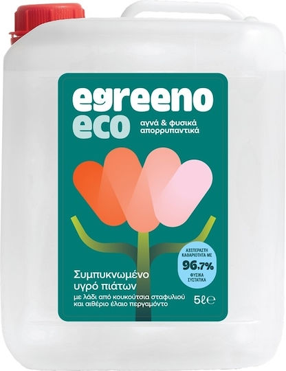 Pur Profesional Lichid de Vase 1x5l