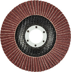 Graphite Disc de șlefuire K120 Μetal 115mm