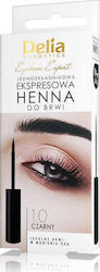 Delia Eyebrow Expert One-component Express Eyeb...
