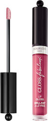 Bourjois Fabuleux Lip Gloss 08 Berry Talented 3.5 Ml