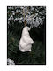 Ornament suspendat Ceramic