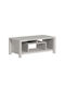 Rectangular Coffee Table Tracy White-Grey L120xW60xH48.5cm