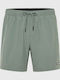 Men's Swimwear Shorts Green