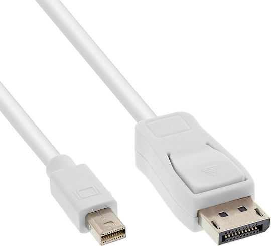 InLine DisplayPort / Mini-DisplayPort Männlich Zu DisplayPort / Mini-DisplayPort Weiblich Weiß 1 Stück 17134