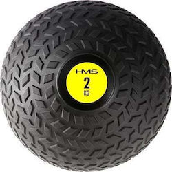 HMS Ball Slam 22cm , 2kg in Beige Color