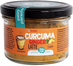 Curcuma Ingwer Latte Terrasana 70g