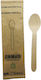 Colorato Biodegradable Spoon Disposable Wooden 100pcs