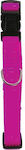 Zolux Cat Collar Fuchsia 39cm