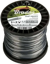 Bradas Bradas