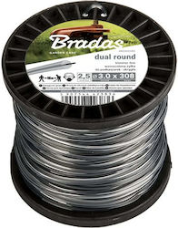 Bradas Bradas