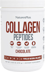 Nature's Plus Collagen Peptides 378gr Σοκολάτα