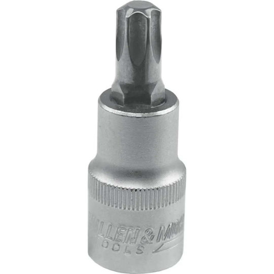Dedra Dedra Torx Bit mit Antriebsgröße 1/2'' T55x55mm