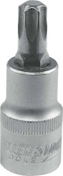 Dedra Καρυδάκι με Μύτη Torx και Καρέ Υποδοχής 1/2'' Μέγεθος T20