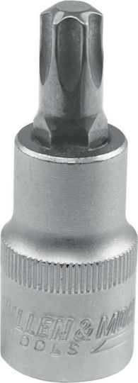 Dedra Walnut with Torx Head and Socket 1/2'' T50