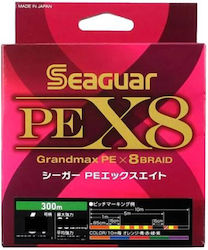 Seaguar Fischereifaden 300m / 0.26mm