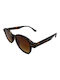 V-store Sonnenbrillen mit Braun Schildkröte Rahmen und Braun Verlaufsfarbe Linse 2333ORANGE
