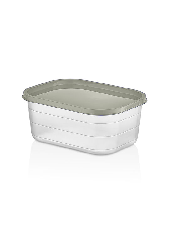 TnS Cutie pentru Mâncare Plastic Gri Potrivit pentru Cuptor cu Microunde 2500ml 1buc