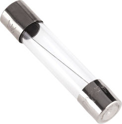 Zylindrische Glas Sicherung 5x20mm 8A