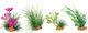 Vegetable Mix Decoration 4 Pcs Set 1