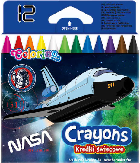Pastellkreiden 12 Farben Nasa Colorino