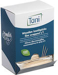 Intertan Toothpick Foodservice Disposable 1000pcs QTTDB