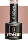Activeshop Ημιμόνιμο Βερνίκι Νυχιών Brown 802 5gr