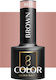 Activeshop Semi-Permanent Nail Polish Brown 803 5gr 1pcs