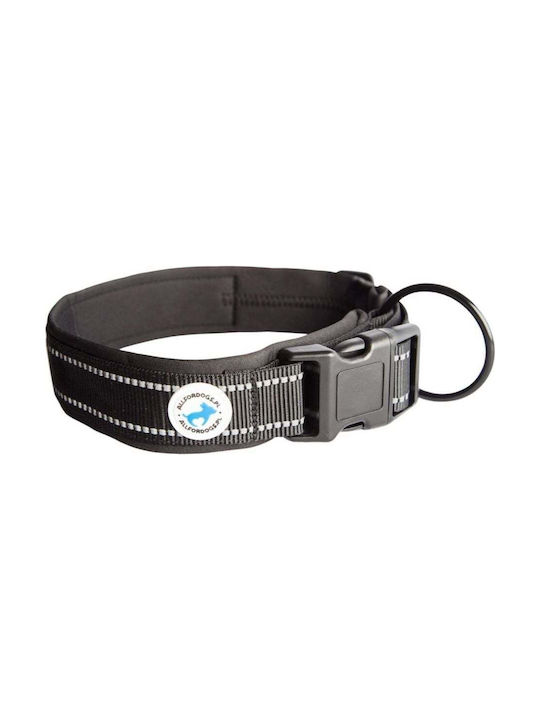 All For Dogs Hundehalsband in Schwarz Farbe Groß / Klein / Mittel / XLarge 35cm
